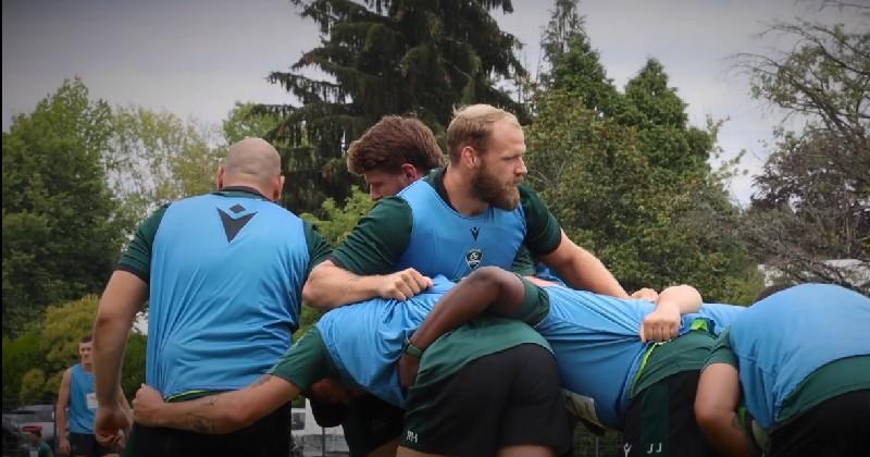 RUGBY. Terrible rechute après seulement trois matchs de Top 14 pour Mickaël Capelli (Pau)